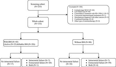 Outcome of immune checkpoint inhibitors in patients with extensive-stage small-cell lung cancer and brain metastases